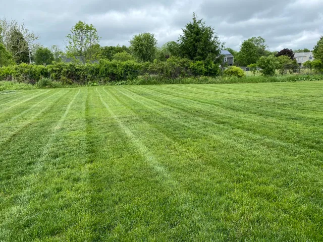 Freshly mowed grassy field with striped patterns, surrounded by trees and shrubs, under a cloudy sky.