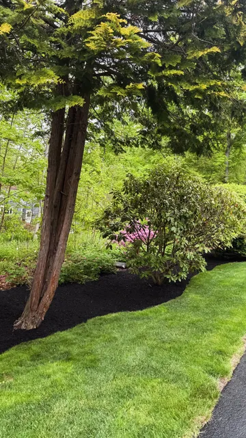 work photo from joeyslandscapinganddesign.com