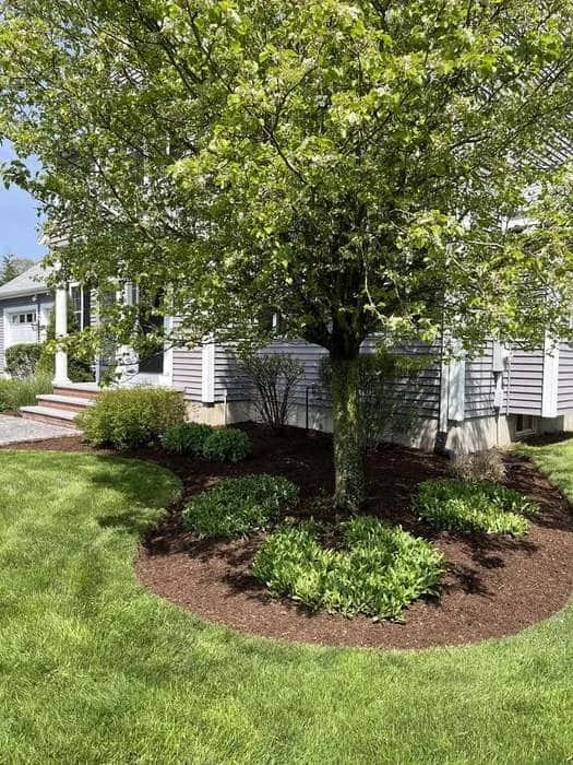 Welch Landscaping project — South Shore lawn care and landscape construction