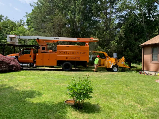 Doncev Tree Service work photo