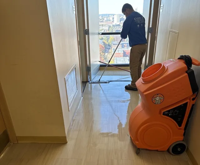 Clean Joe work photo