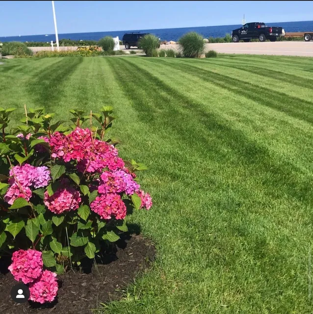 FJC Landscaping & Excavation work photo