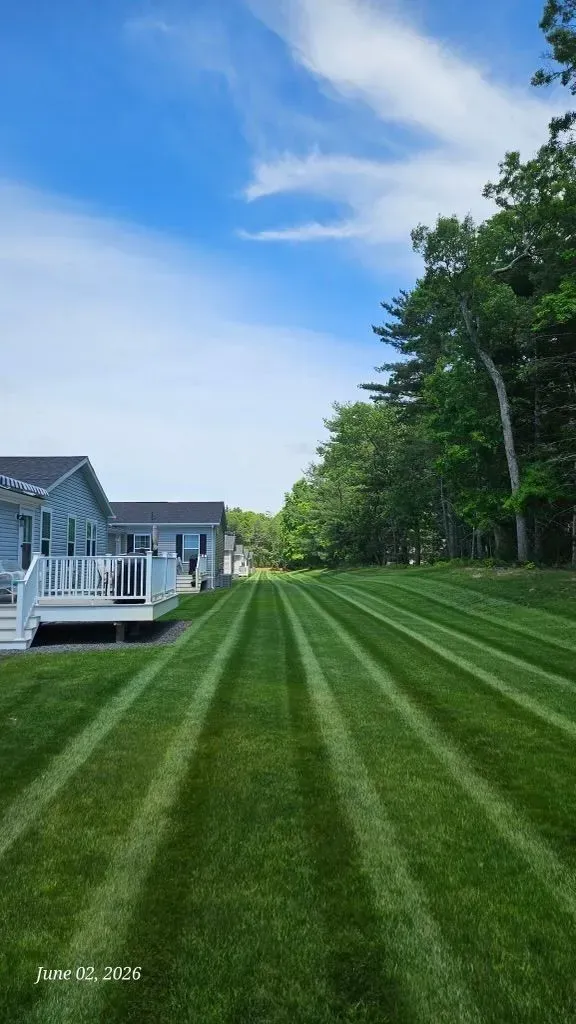 Wide striped green lawn beside a white house, with trees lining the right side under a blue sky.