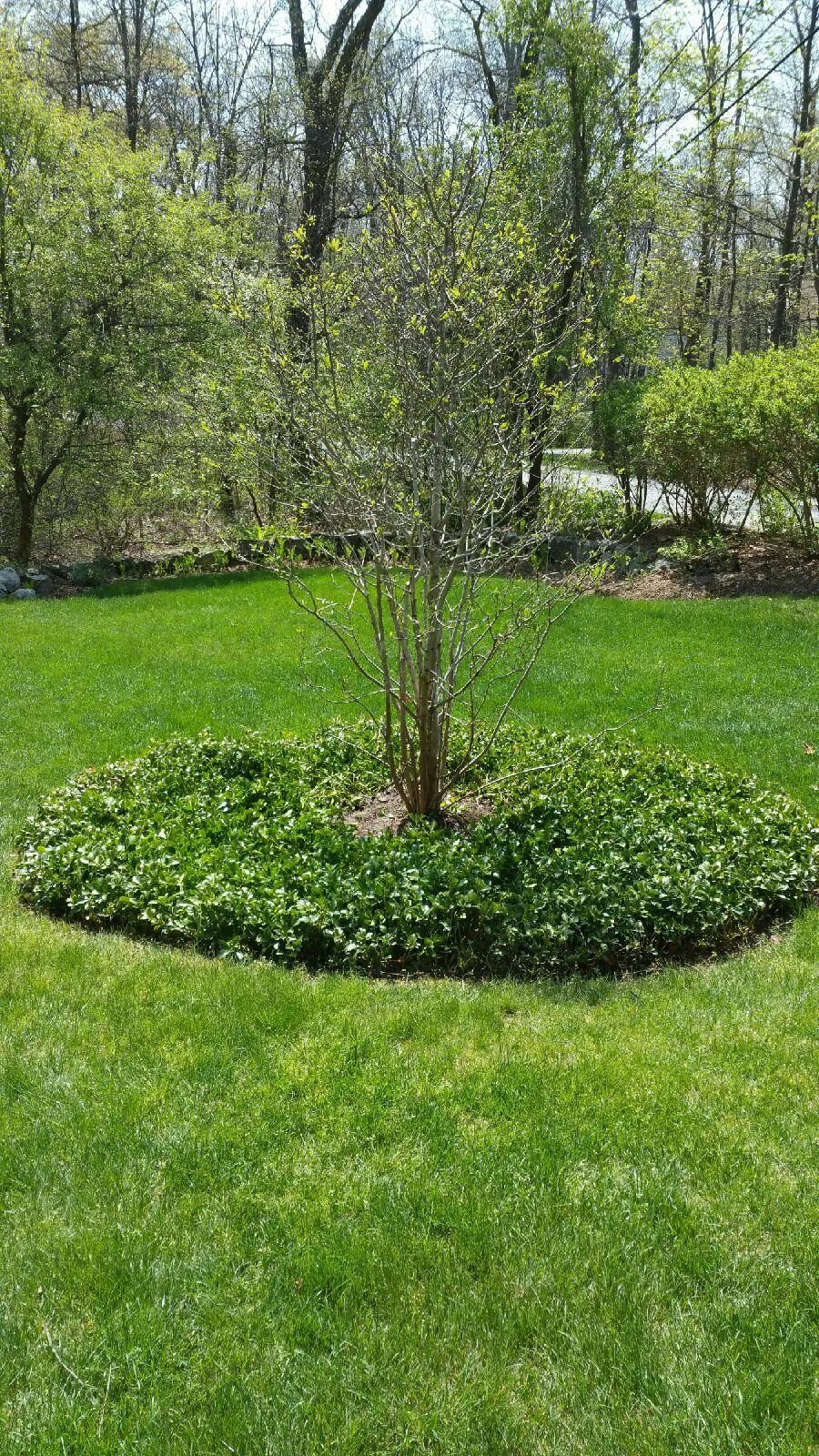 Northeast Landscape Contractors