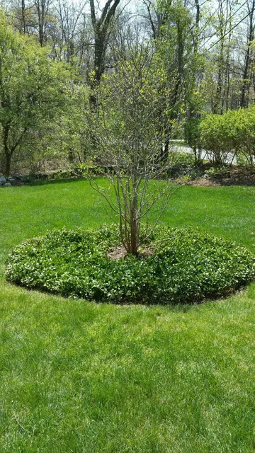 Northeast Landscape Contractors