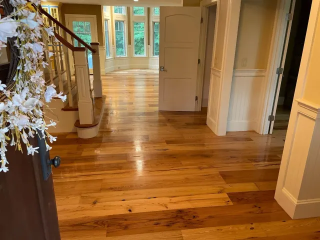 Stained hardwood floors in Norfolk Massachusetts home.