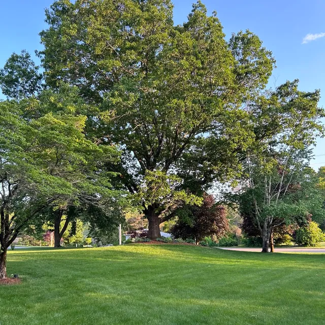Malone Landscape & Excavation researched project photo