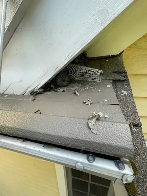 work photo from sandmpestservices.com