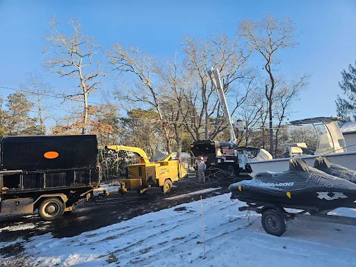 Tree Busters work photo