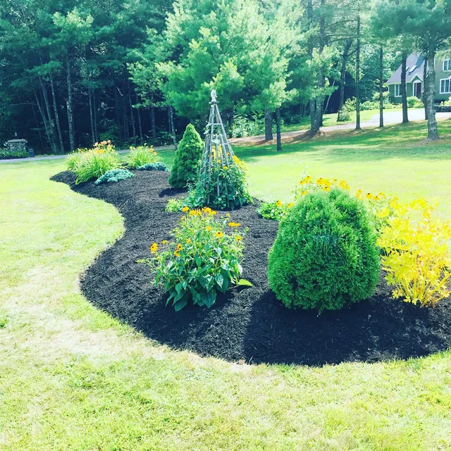 Father&john landscaping work photo