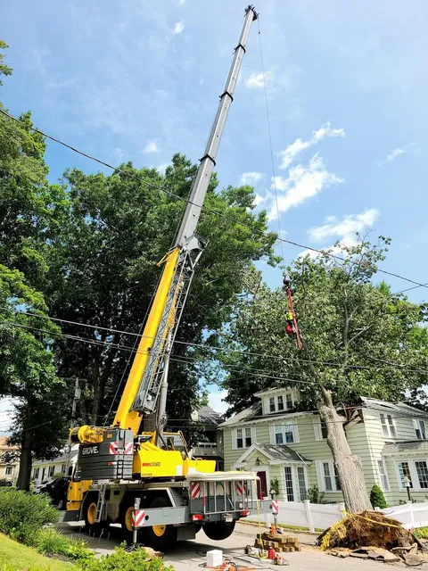 JSP Site Solutions work photo