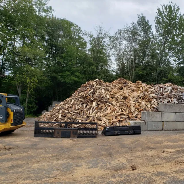 Trees — Tree Services in Warren, Rhode Island