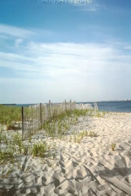 work photo from capecodusarealestate.com