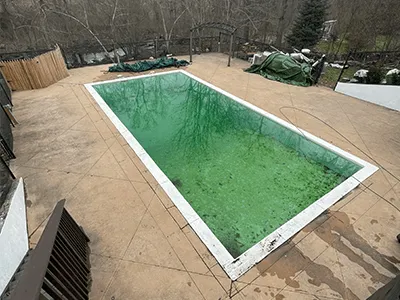 A serene pool filled with green water, surrounded by lush greenery and a tranquil atmosphere.