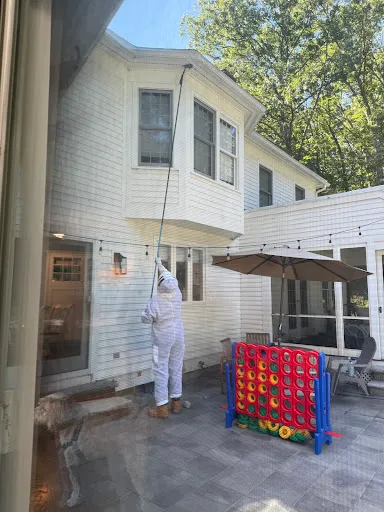 Freedom Pest Control work photo