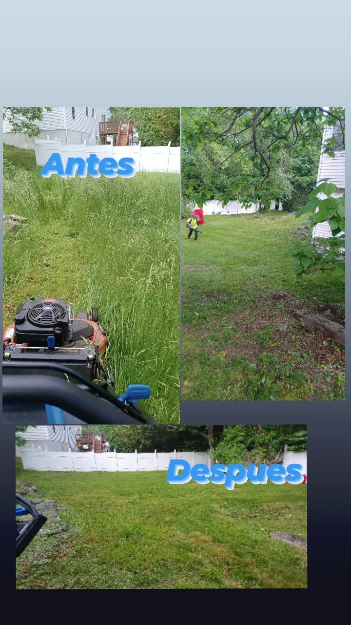 PORTILLO H LANDSCAPING