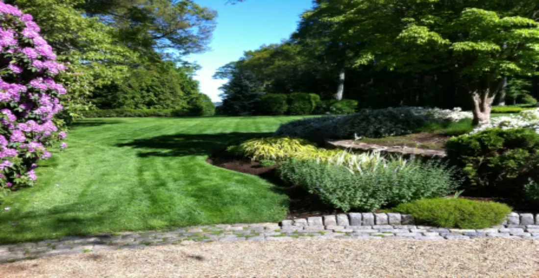 Earth Landscape - iGreenCare