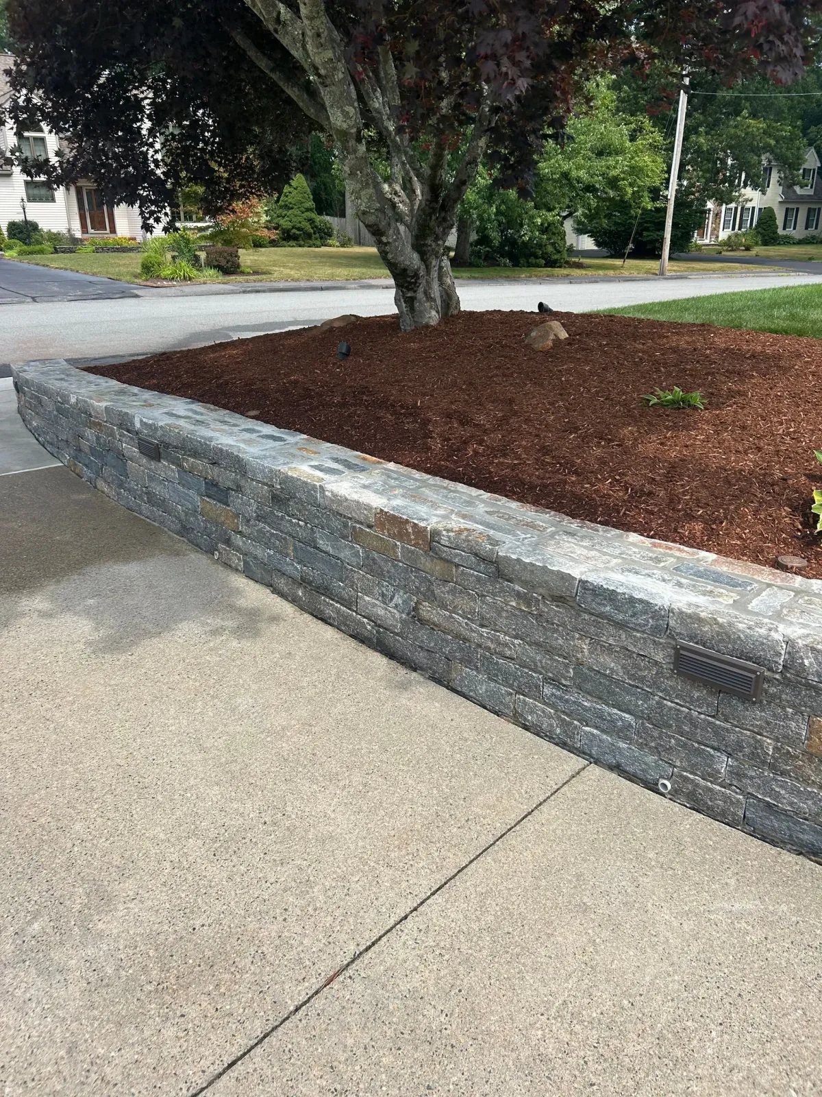 Mulched tree bed beside a sidewalk and street, bordered by a low gray retaining wall