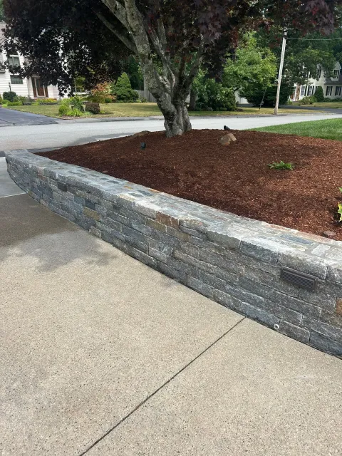 Mulched tree bed beside a sidewalk and street, bordered by a low gray retaining wall