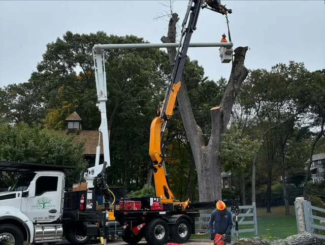 Arbor Green Tree Service work photo