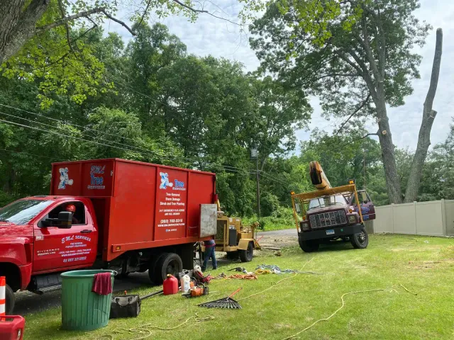 work photo from emltreeservices.com