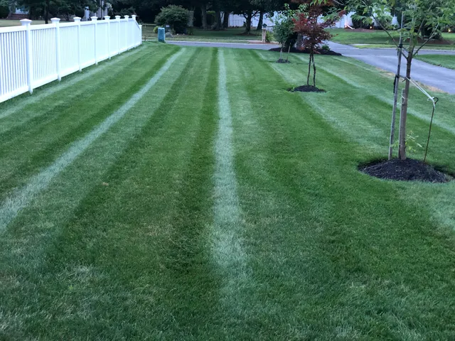 Bastiao Landscaping & Snowplowing work photo
