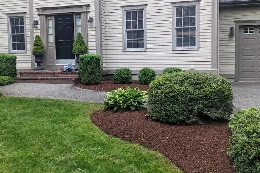 Molloy Lawn & Landscape
