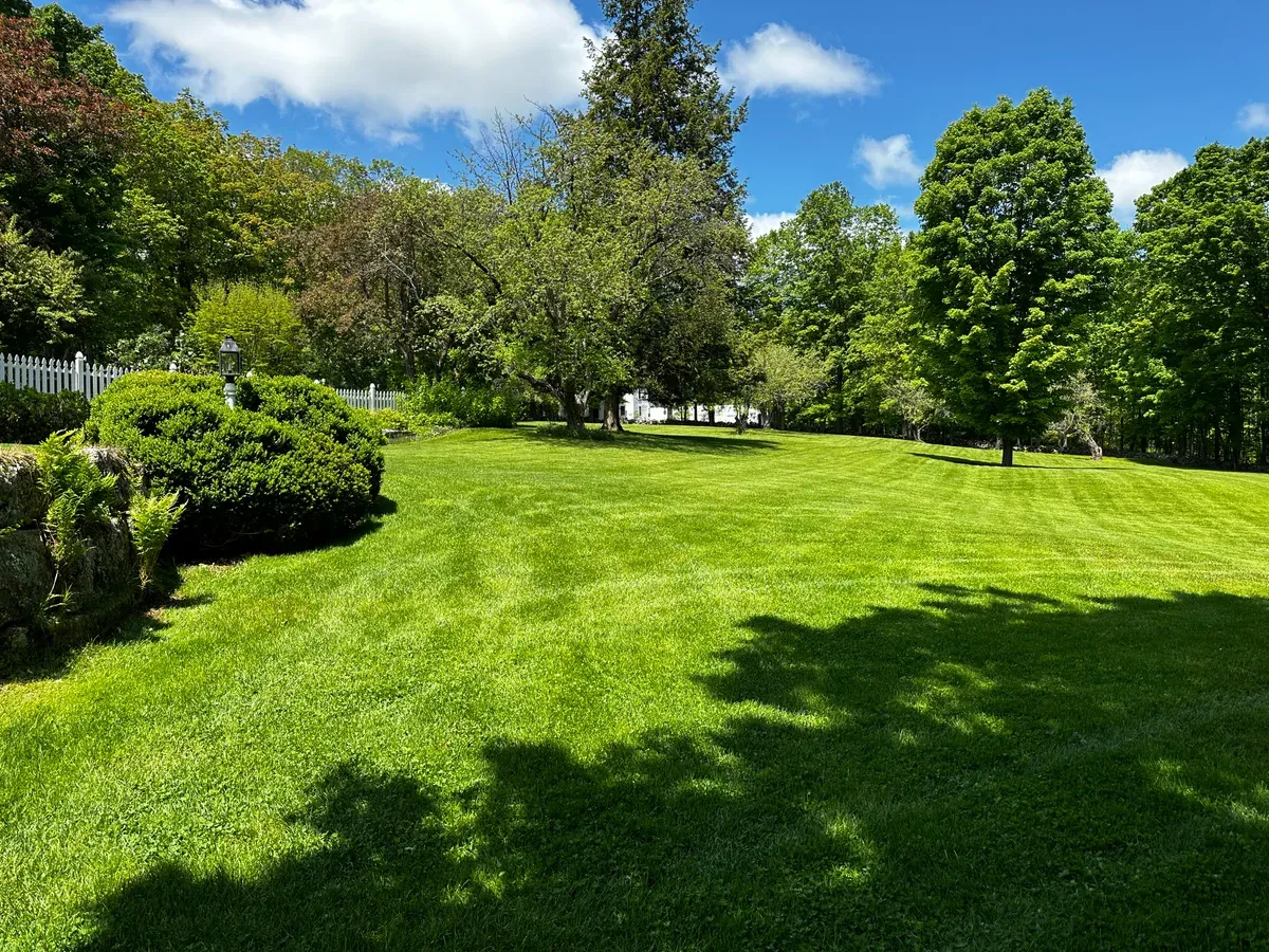 Organic lawn care result