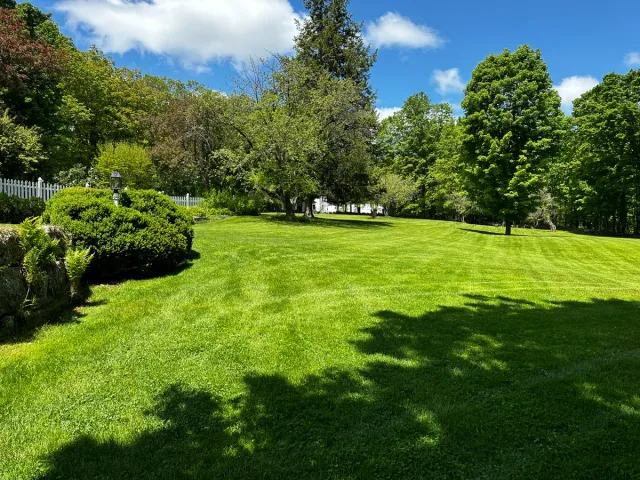 Organic lawn care result