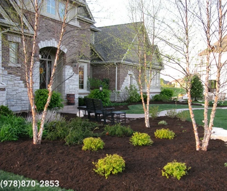 Nico’s landscaping & hardscape researched project photo