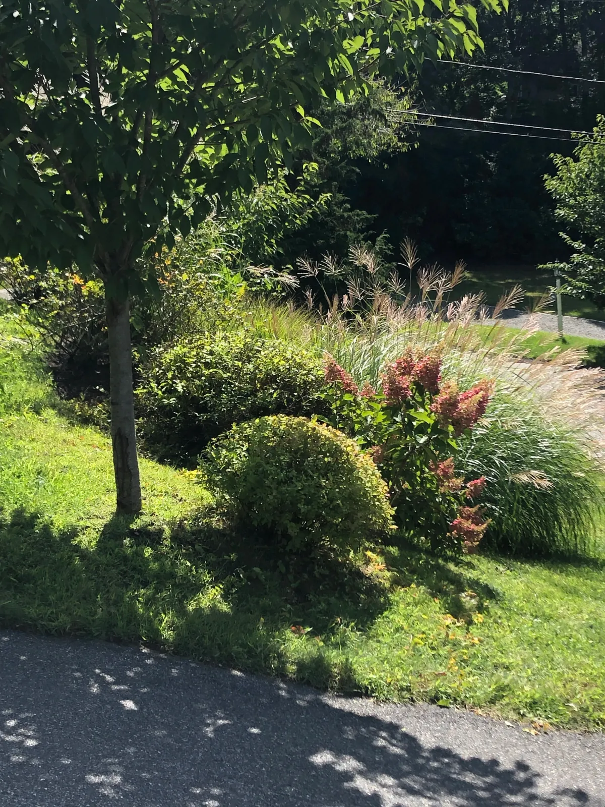 Landscaping and gardening orleans and Chatham ma