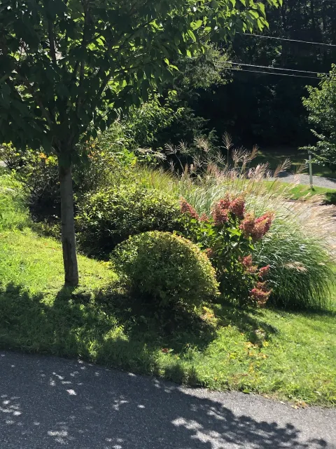 Landscaping and gardening orleans and Chatham ma