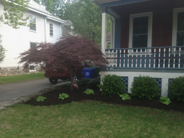 Front yard redesign, Newton MA
