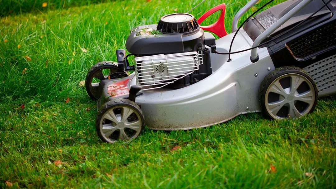 Lawn & Property Landscape