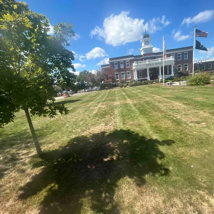 BD LANDSCAPE & TREE SERVICE researched project photo
