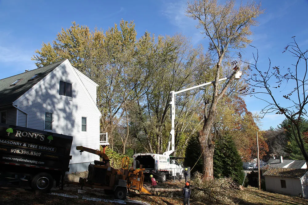 work photo from ronyslandscapinginc.com