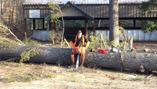 TLL TREE SERVICE work photo