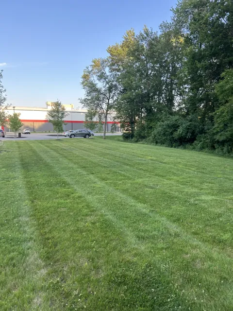 Freshly mowed lawn with clean striping by professional landscaping crew