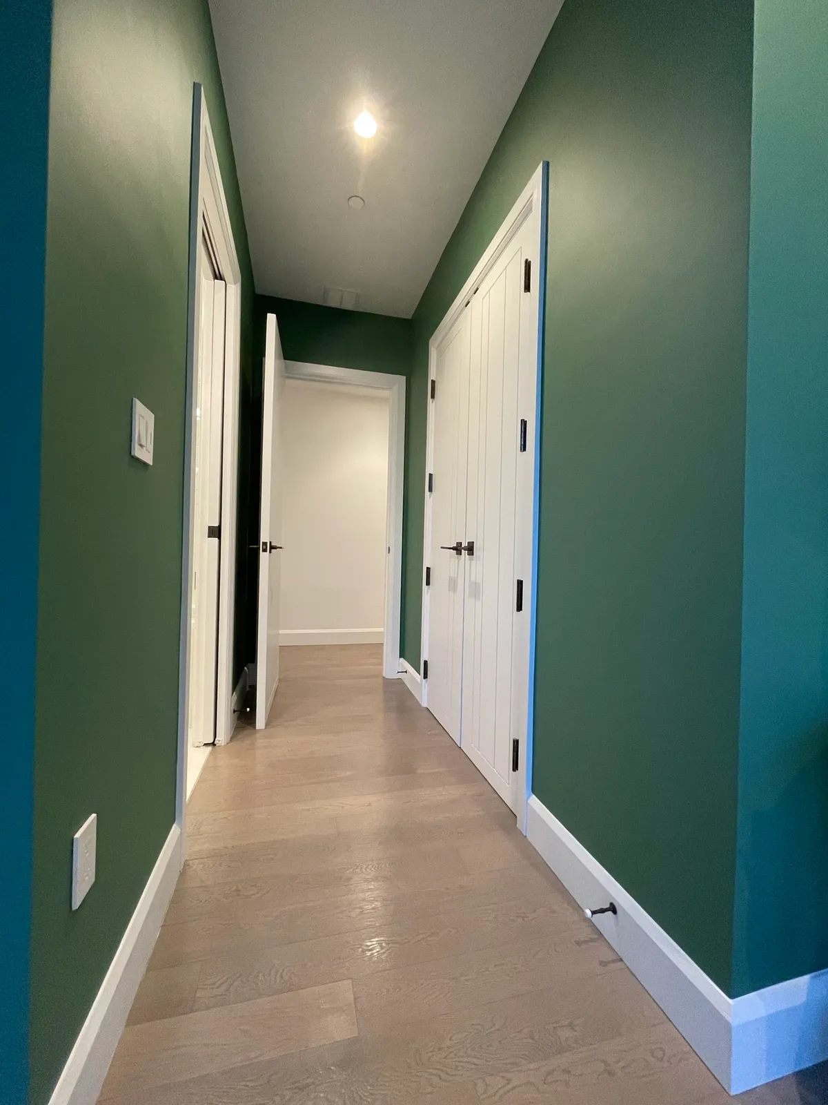 Pro Painting Services