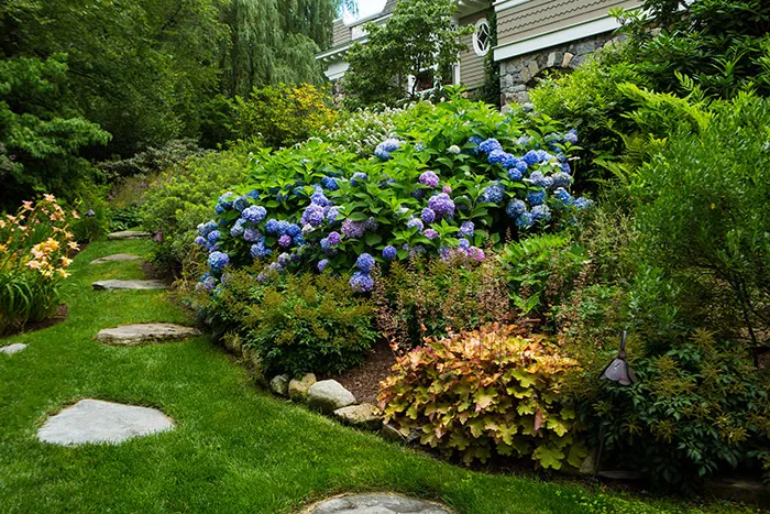 work photo from finegardeners.com