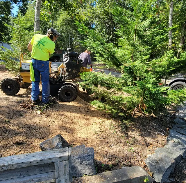 ANTHONYS TREE SERVICE work photo