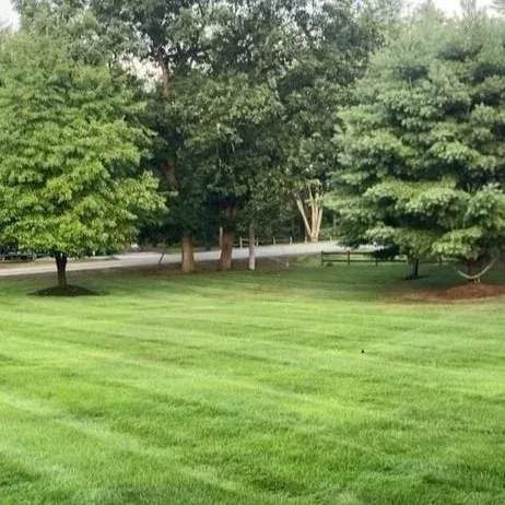 Lawn Transformations
