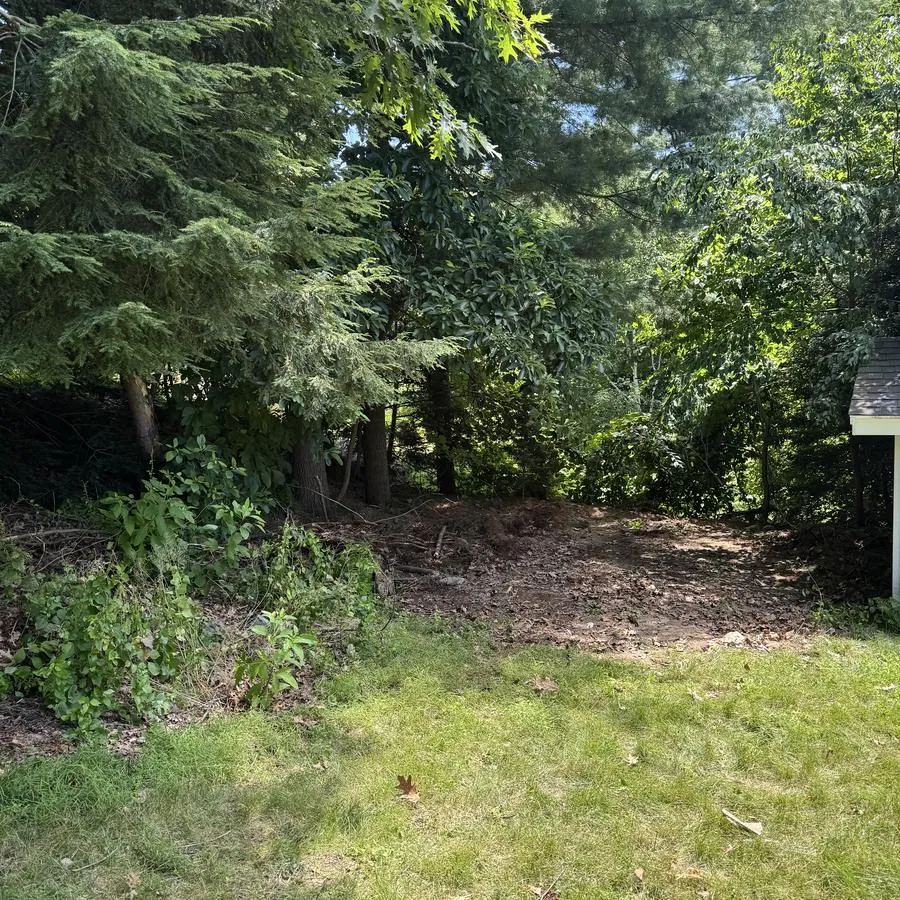 Brush & yard cleanout after — cleared by Joe's Junk Removal & Demolition