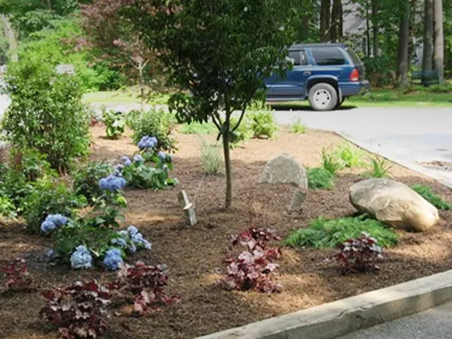work photo from landartma.com