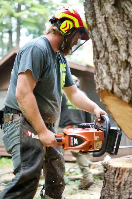 work photo from gardnertreeme.com