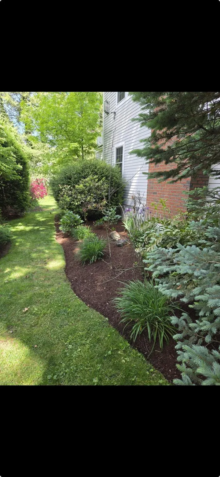 Landscaped garden bed