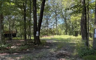 Active | 6-A Durkee Ln, Westford, MA 01886