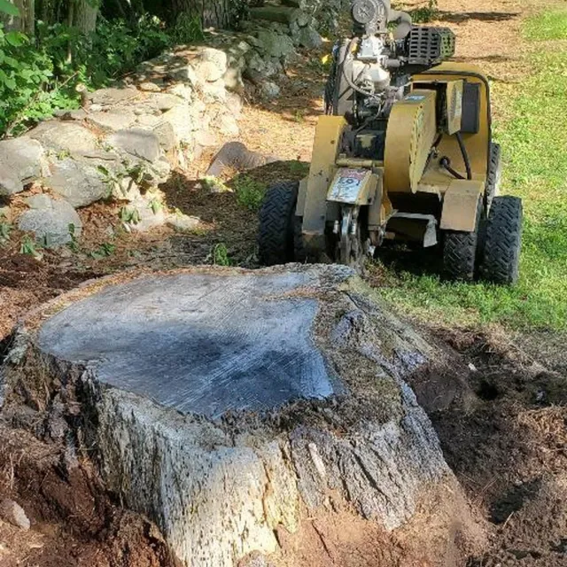 Earth Dynamics Of New England researched project photo