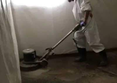 Reliable Mold Removal Services