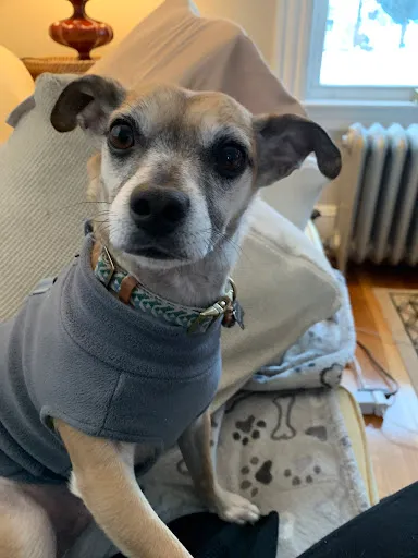 Review photo by Patricia ONeill